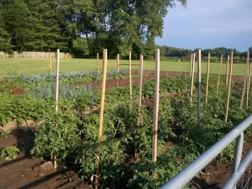 [Hearth.com] 2012 Alaska Green house update pics
