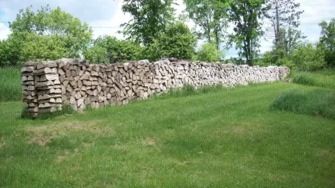 [Hearth.com] Too much wood?  Nah...
