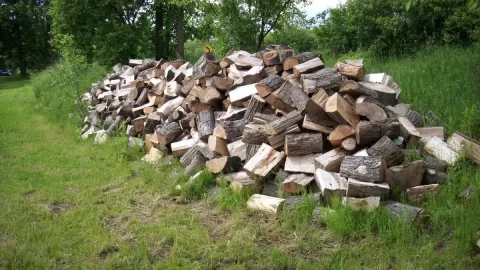 [Hearth.com] Too much wood?  Nah...