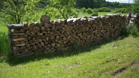 [Hearth.com] Too much wood?  Nah...