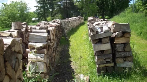 [Hearth.com] Too much wood?  Nah...