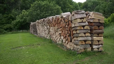 [Hearth.com] Too much wood?  Nah...