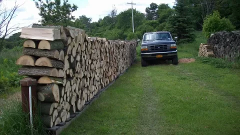 [Hearth.com] Too much wood?  Nah...