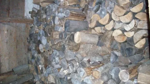 [Hearth.com] Too much wood?  Nah...