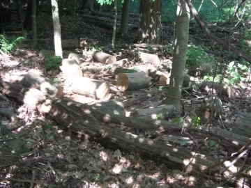 [Hearth.com] Today buckin with pics