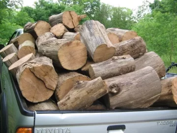 [Hearth.com] Today buckin with pics