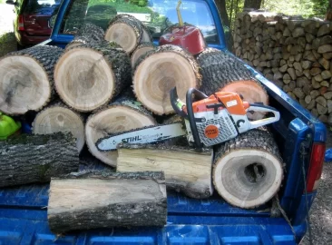 [Hearth.com] Green Hard Maple