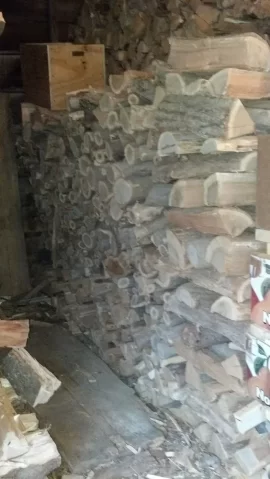 [Hearth.com] Neighboorhood scrounge