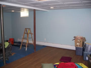 [Hearth.com] Basement Reno - with pics