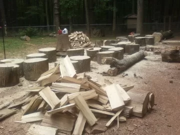 [Hearth.com] Weekend fun