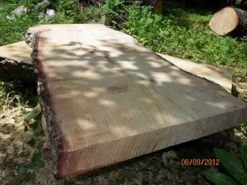 [Hearth.com] Pine Slab for Coffee Table