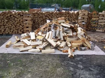 [Hearth.com] Another load from the state cutting area