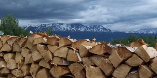 [Hearth.com] Another load from the state cutting area
