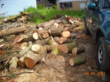 [Hearth.com] Third Load from the Glory Pile