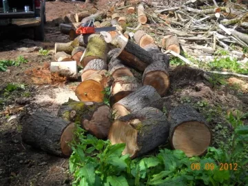 [Hearth.com] Third Load from the Glory Pile