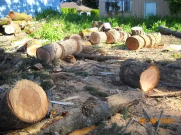 [Hearth.com] Third Load from the Glory Pile