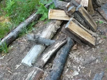 [Hearth.com] Wood stack trouble!