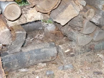 [Hearth.com] Wood stack trouble!