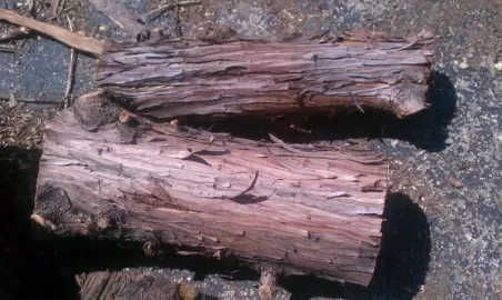 [Hearth.com] Wood ID Please