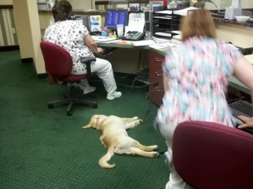 [Hearth.com] Just a regular day at the office...