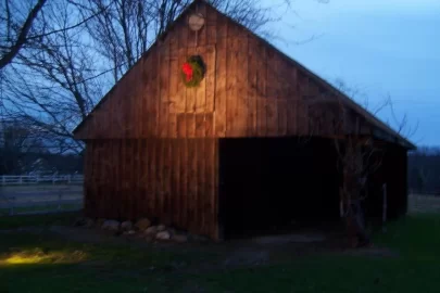 [Hearth.com] What kind of Lighting do you have in your shed and on the outside of your shed?