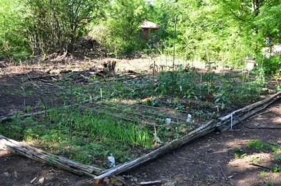 [Hearth.com] 2012 Alaska Green house update pics