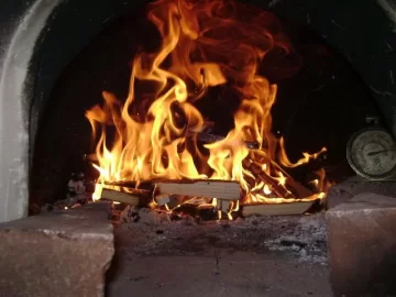 [Hearth.com] Pizza Oven trial run pictures