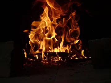 [Hearth.com] Pizza Oven trial run pictures