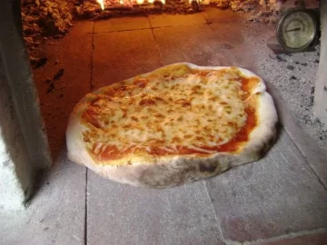 [Hearth.com] Pizza Oven trial run pictures