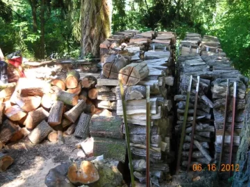 [Hearth.com] Fourth Load from the Glory Pile/My Future Stacks In Progress