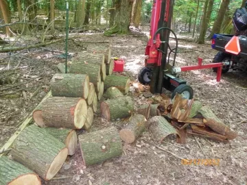 [Hearth.com] Hemlock Done Today