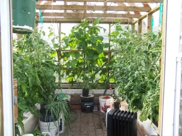 [Hearth.com] 2012 Alaska Green house update pics