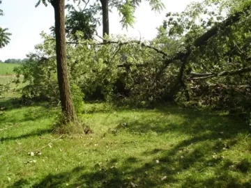 [Hearth.com] Wind Storm