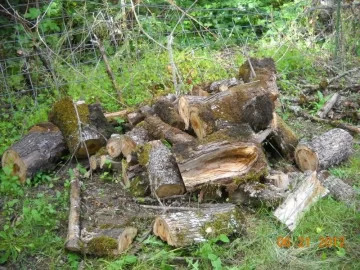 [Hearth.com] Build a Bridge and Get Over It