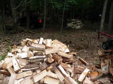 [Hearth.com] Hemlock Done Today