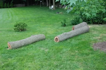 [Hearth.com] A good wood score!