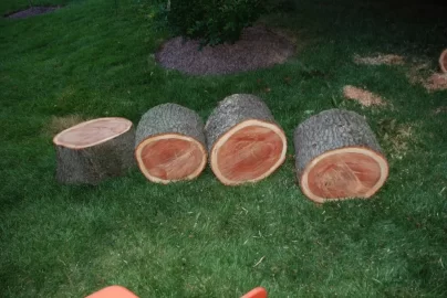 [Hearth.com] A good wood score!