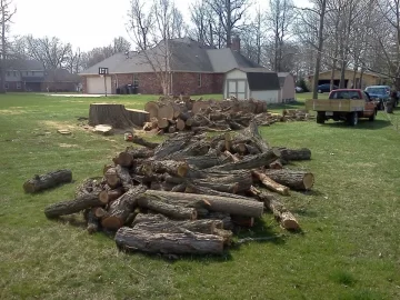 [Hearth.com] What is the most wood from one tree?