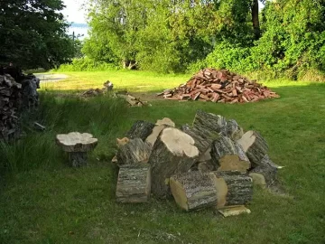 [Hearth.com] Look what daddy brought home