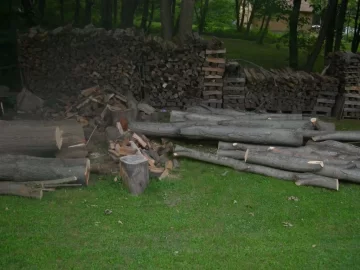 [Hearth.com] Another score that delivers