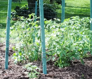 [Hearth.com] Bugs, flowers, osage, compost