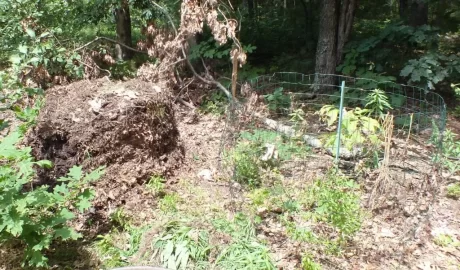 [Hearth.com] Bugs, flowers, osage, compost