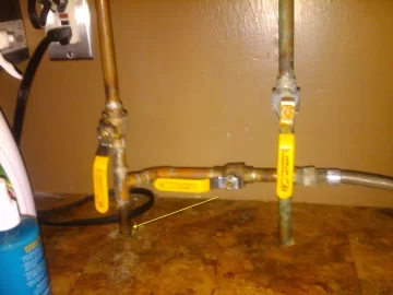 [Hearth.com] Portable LP Gas Water Heater
