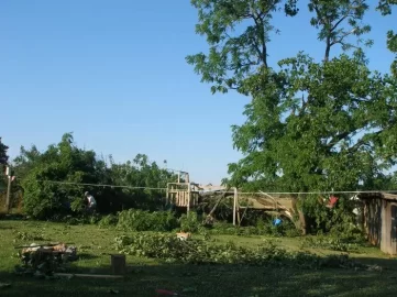 [Hearth.com] Worst way to get firewood