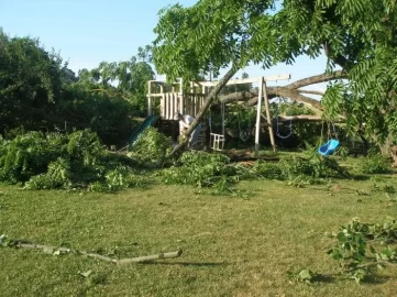[Hearth.com] Worst way to get firewood