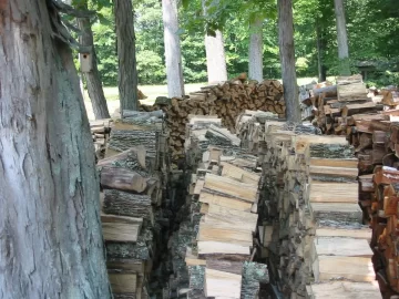 [Hearth.com] I've come a long way