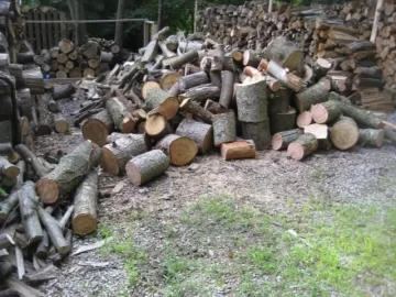 [Hearth.com] Free Hemlock