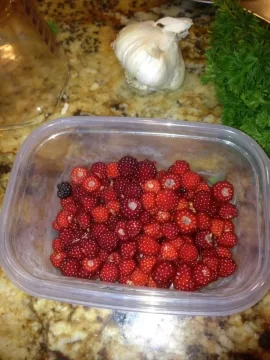 [Hearth.com] A Berry good question