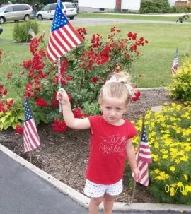 [Hearth.com] Happy 4th of July, everyone!