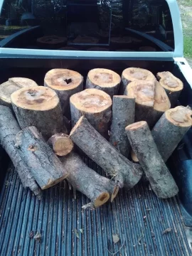 [Hearth.com] Pig Roast